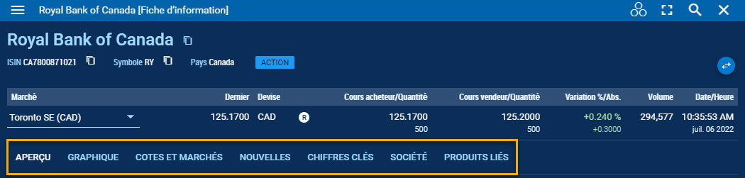 Capture d’écran avec tous les onglets d’un widget fiche d’information en surbrillance